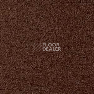 Ковролин Radici Forum Cacao 2105 фото 1 | FLOORDEALER